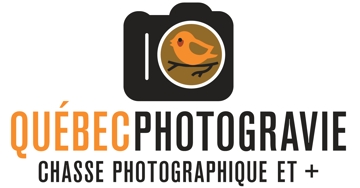 Image fiche activité