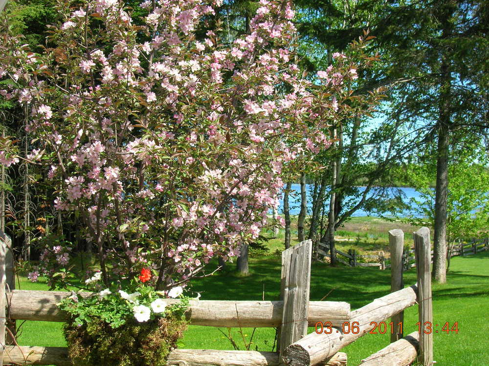 Image hébergement