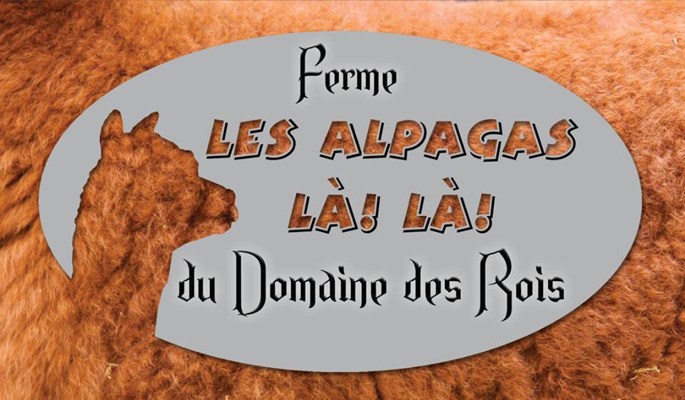 Image fiche activité